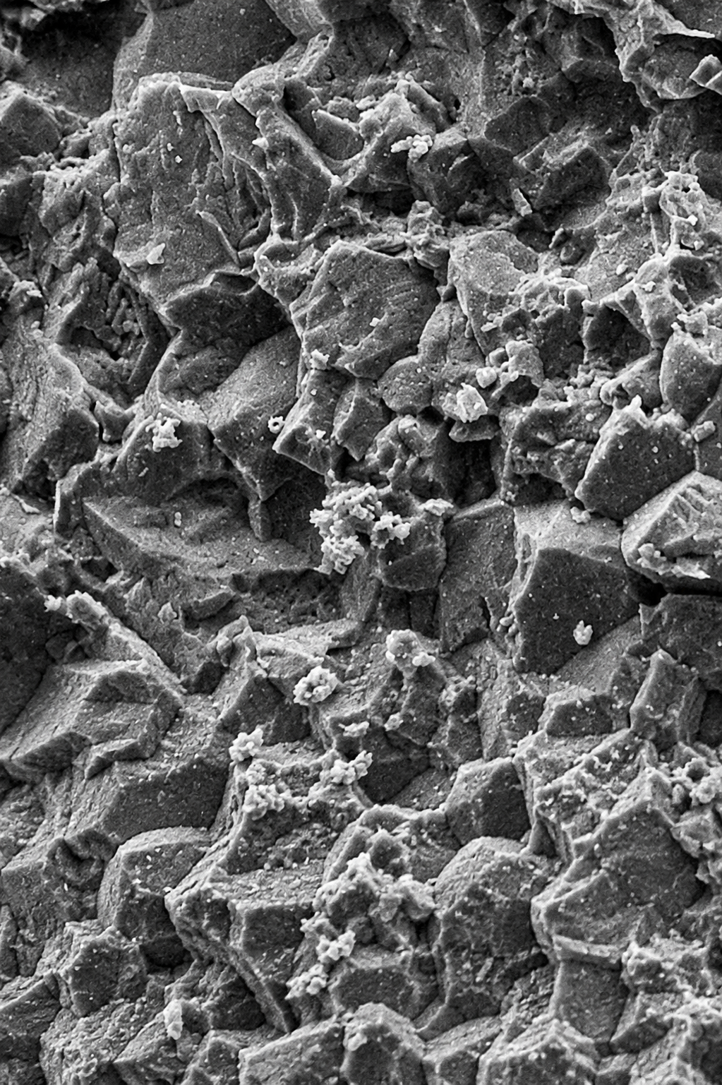 Magnified natural stone surface showing open pores